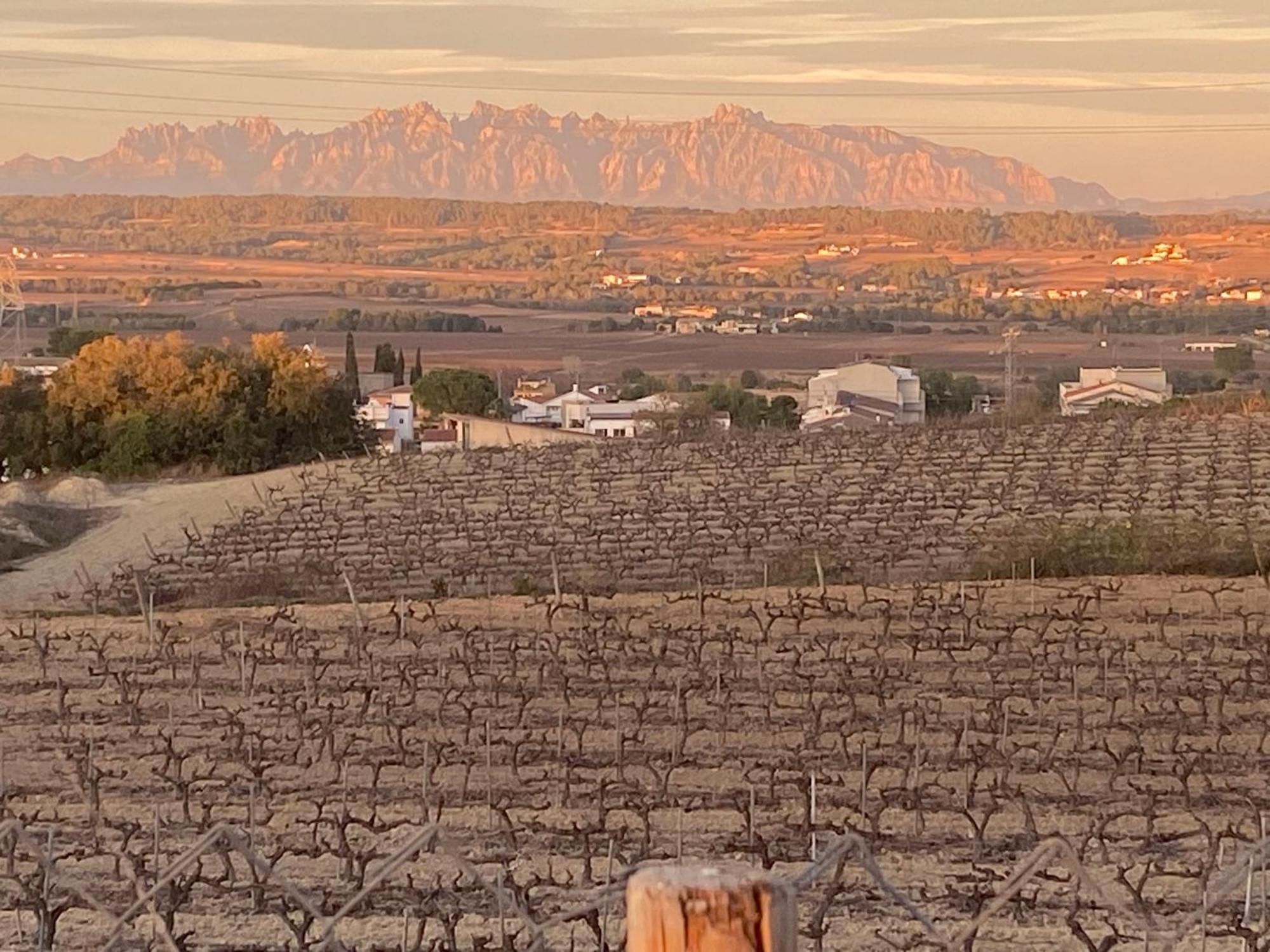 Cal Castla Villa La Granada Екстериор снимка